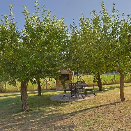 Park 100 Amici *